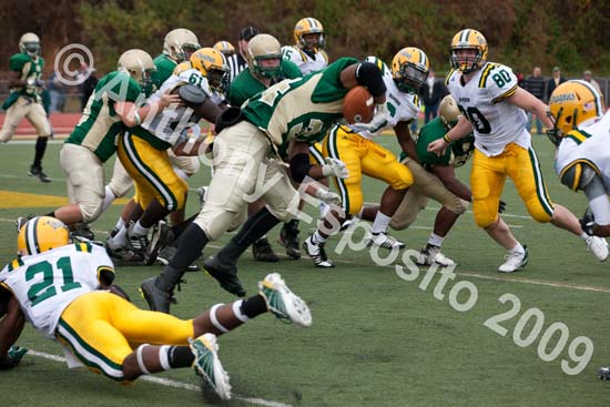 09 Greenbowl 572
