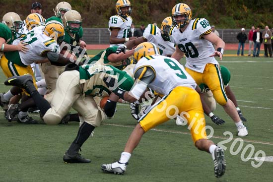 09 Greenbowl 573