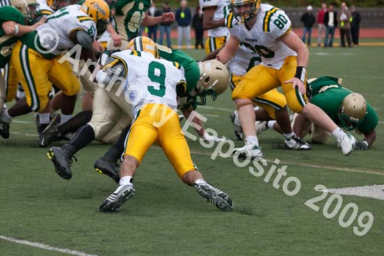 09 Greenbowl 574