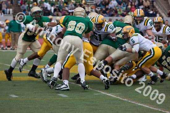 09 Greenbowl 577