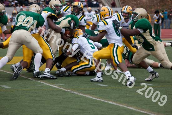 09 Greenbowl 579