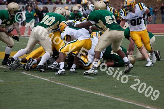 09 Greenbowl 580
