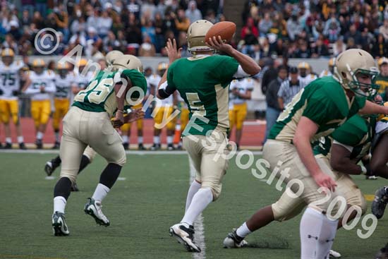 09 Greenbowl 584