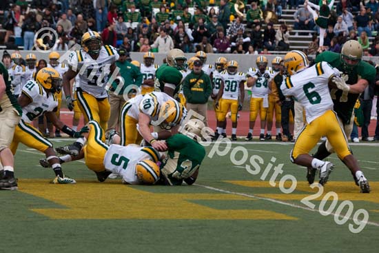 09 Greenbowl 585