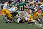 09 Greenbowl 234