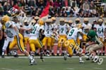 09 Greenbowl 238