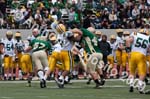 09 Greenbowl 240