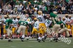 09 Greenbowl 241