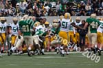 09 Greenbowl 243