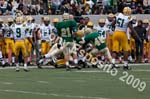 09 Greenbowl 244