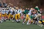 09 Greenbowl 245
