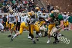 09 Greenbowl 258