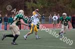 09 Greenbowl 260