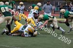 09 Greenbowl 270