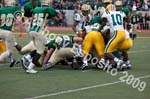 09 Greenbowl 522