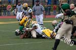 09 Greenbowl 528
