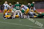 09 Greenbowl 535