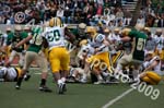 09 Greenbowl 555