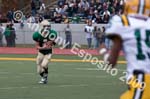 09 Greenbowl 557