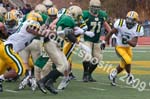 09 Greenbowl 564