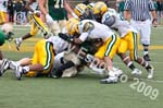 09 Greenbowl 565