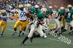 09 Greenbowl 570