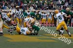 09 Greenbowl 585