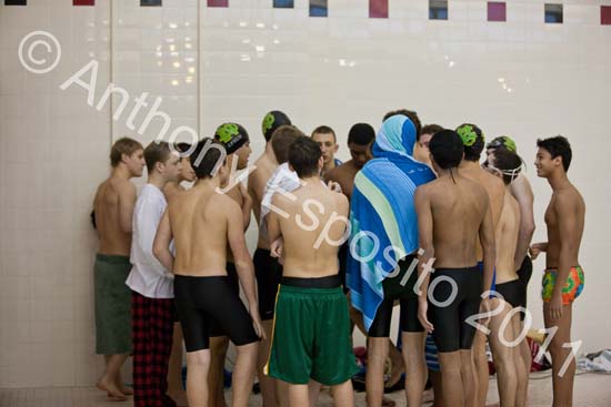 Swim 004