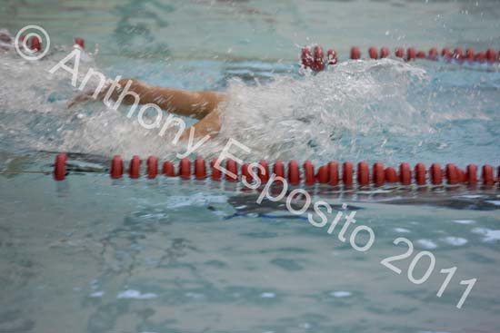 Swim 016