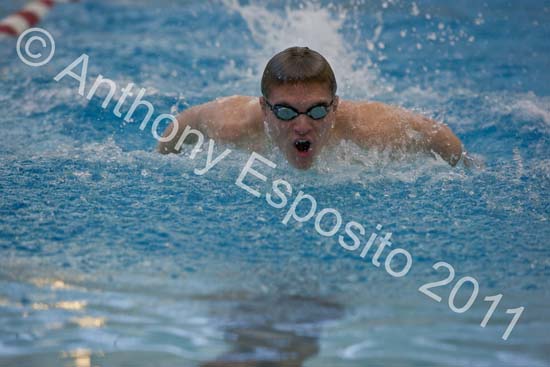 Swim 019