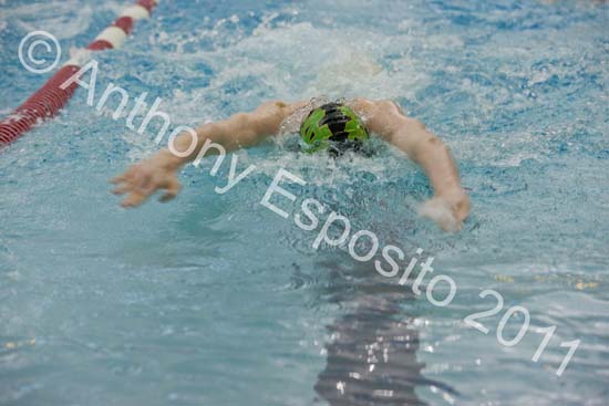 Swim 020
