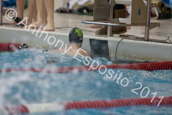Swim 022