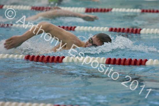 Swim 034