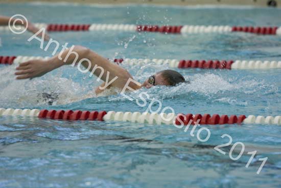 Swim 037