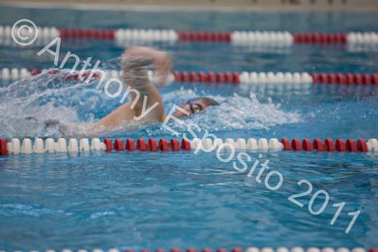 Swim 039