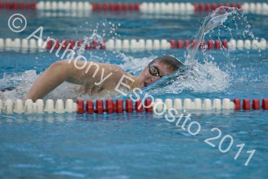 Swim 042