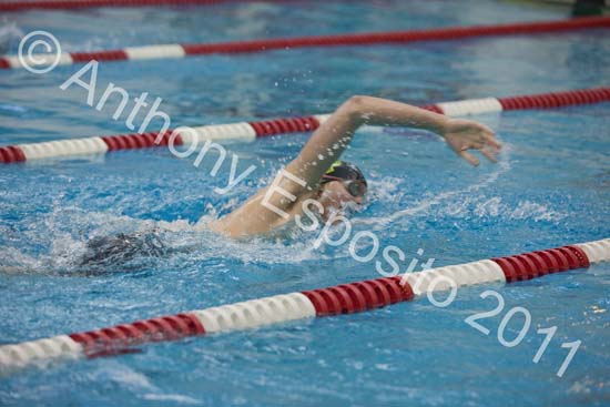 Swim 043
