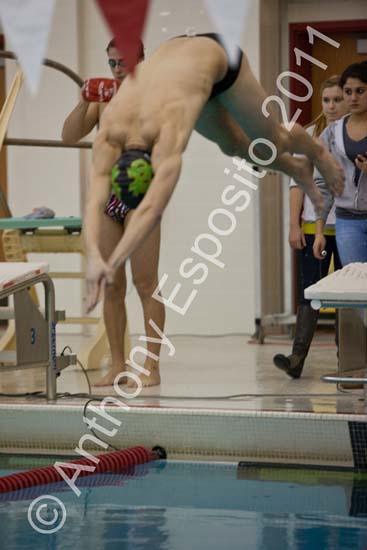 Swim 053