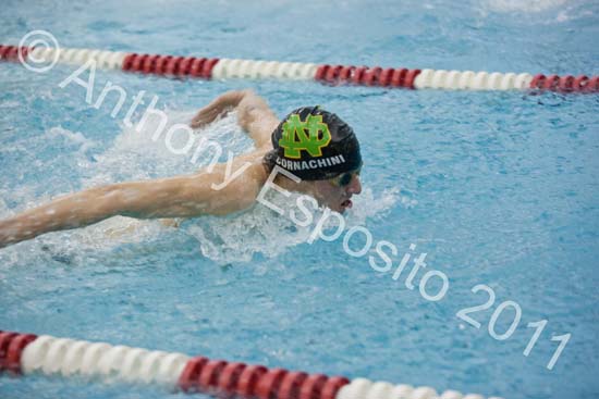 Swim 054