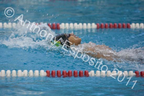 Swim 058
