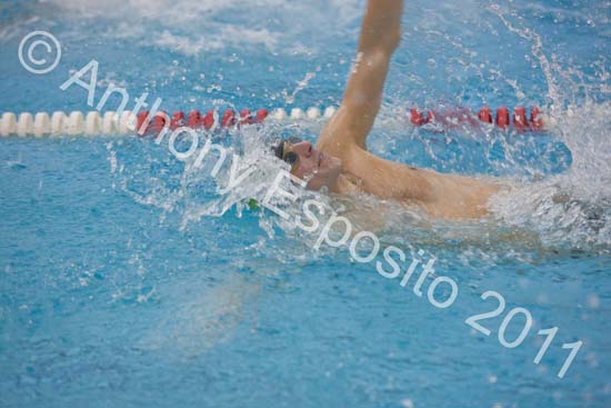 Swim 061
