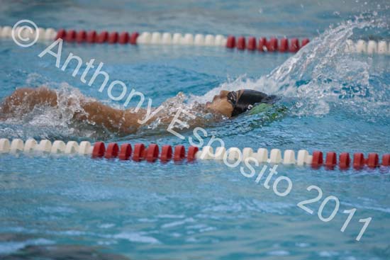 Swim 065