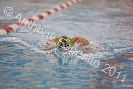 Swim 078