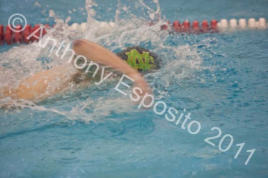 Swim 083