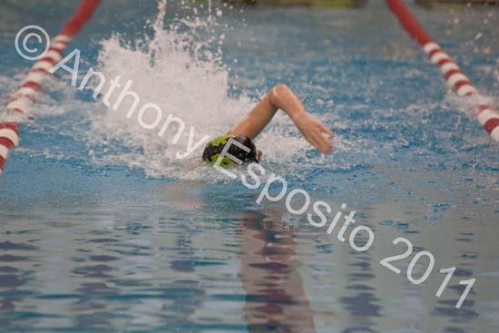 Swim 100