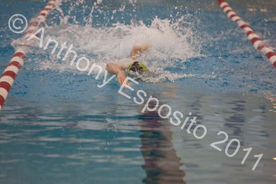 Swim 101