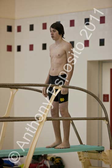 Swim 102