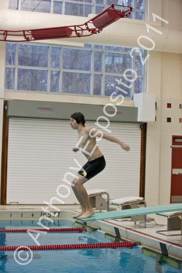 Swim 103
