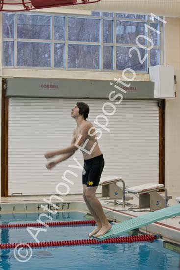 Swim 104