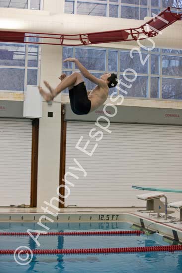 Swim 106